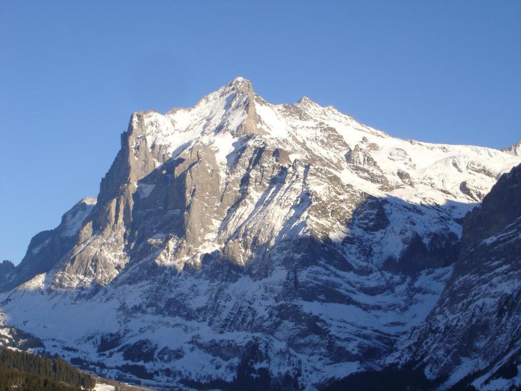 Chalet Spinne Grindelwald Bilik gambar